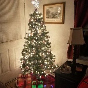 Meet your Posher, Star